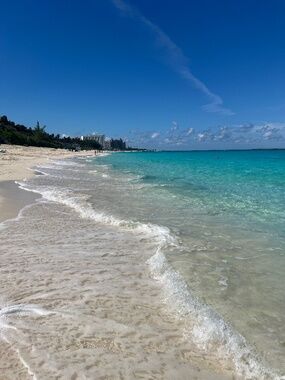 Meet your Posher, Lindsey